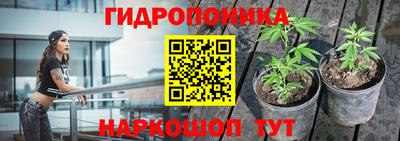 стафф Тулун